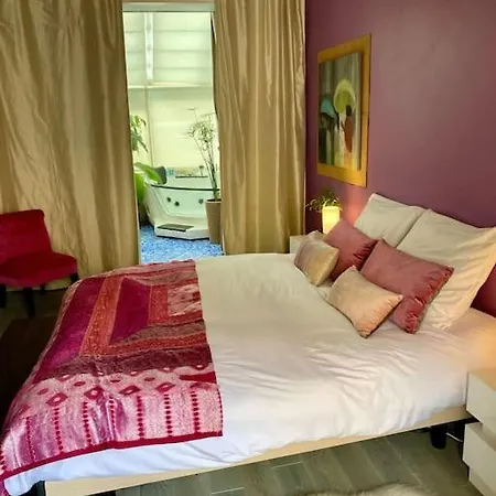 Maison De Charme Avec Piscine Interieure & Jardin * Vanves